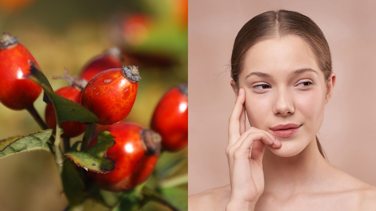 Beneficios del aceite de rosa mosqueta