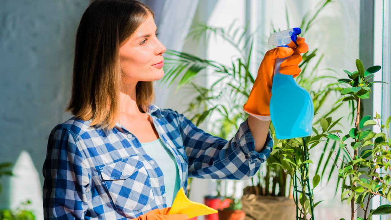 limpiar las hojas para qué