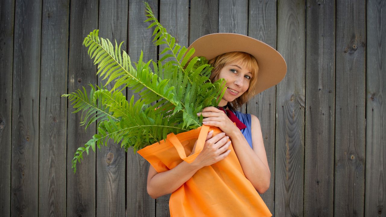 Abono-con-papa-para-fortalecer-tus-helechos 