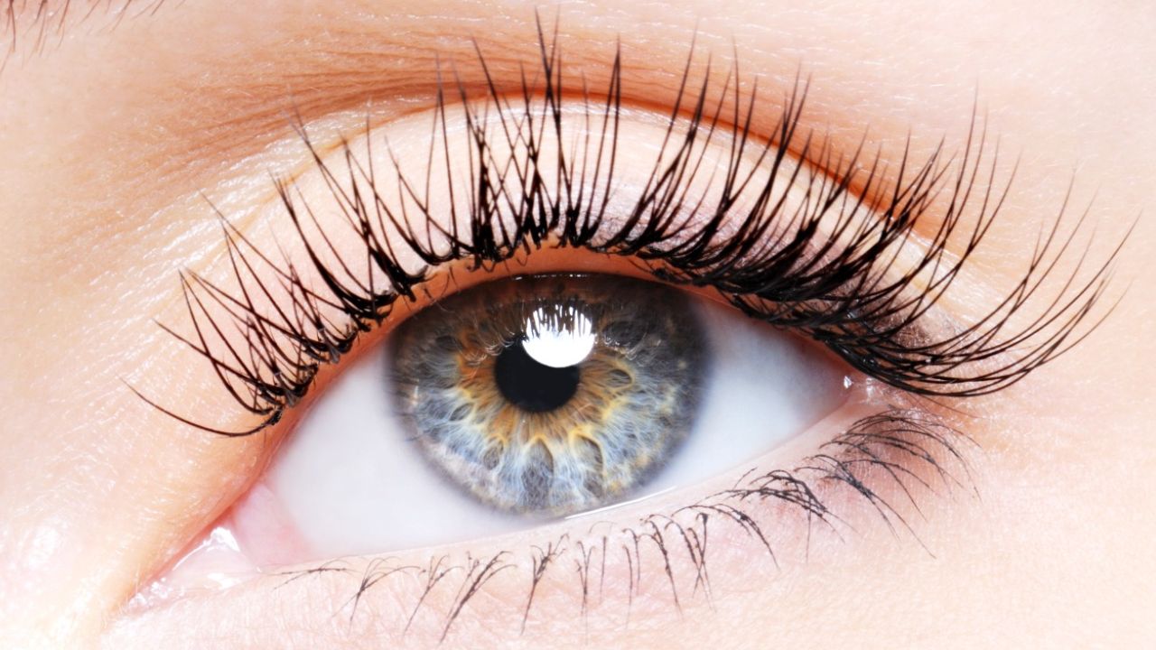 Aceite-de-mamey-para-las-pestanas-el-secreto-de-Salma-Hayek