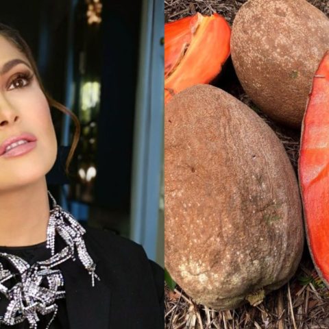 Aceite-de-mamey-para-las-pestanas-el-secreto-de-Salma-Hayek