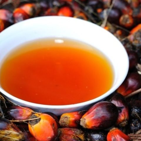 Alimentos que contienen aceite de palma