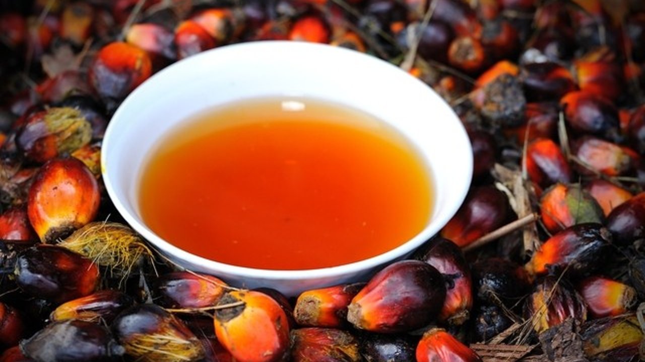 Alimentos que contienen aceite de palma