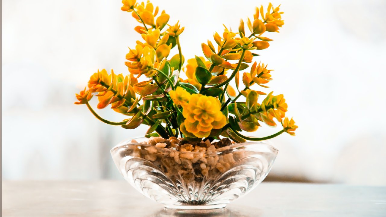 cómo se ve la falta de hierro en plantas