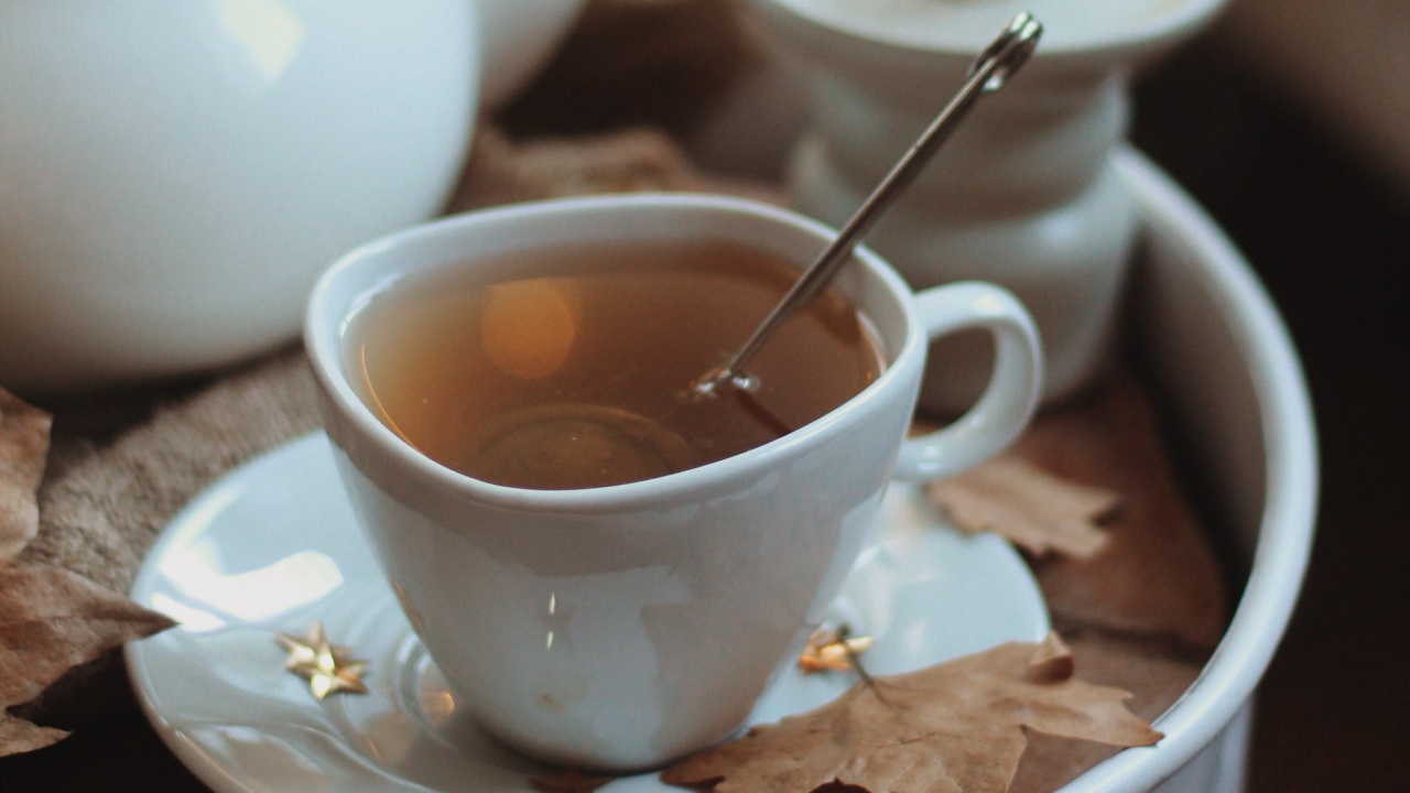 bebidas calientes que no son cafe