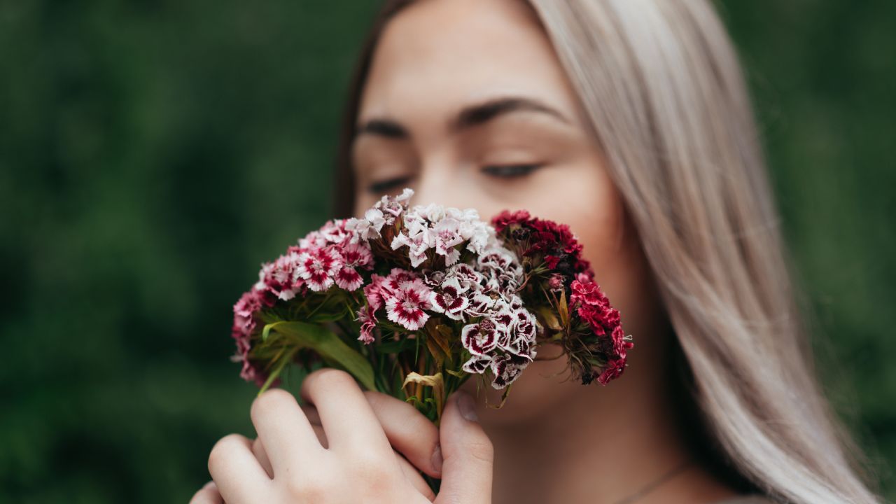 Claveles-comestibles-como-consumirlos-cual-es-su-sabor 