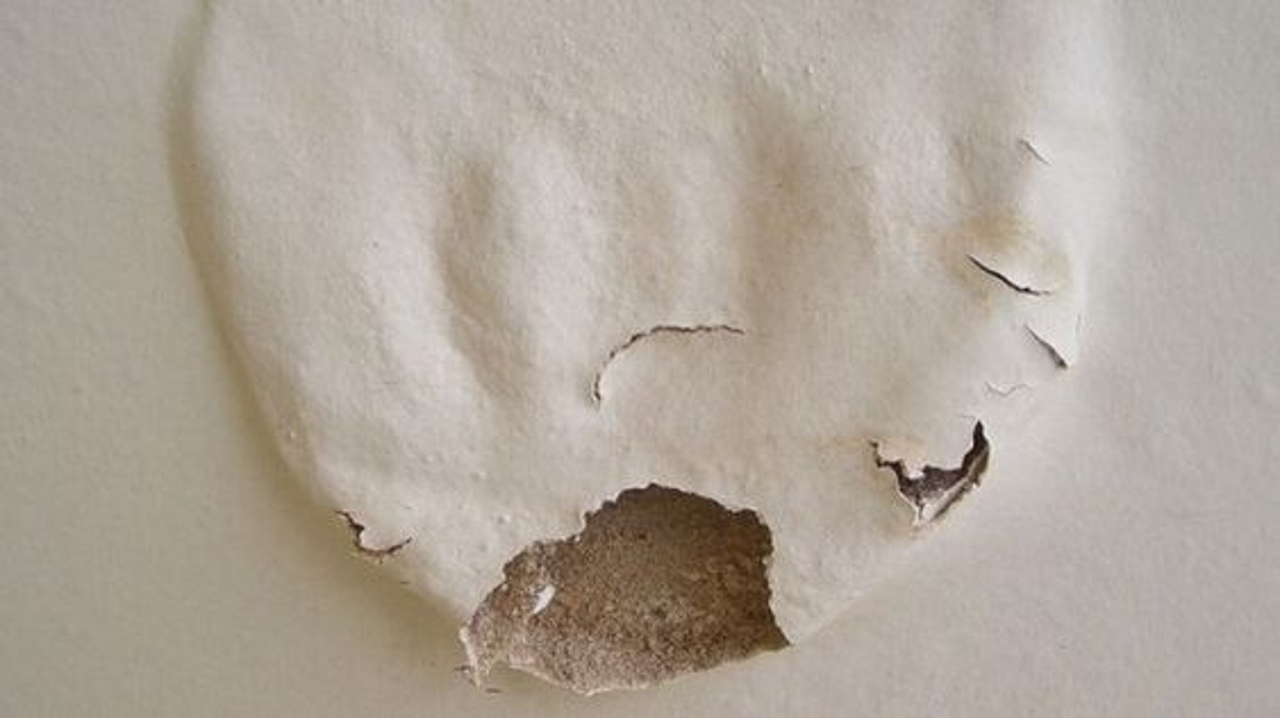 como arreglar pintura levantada de techo