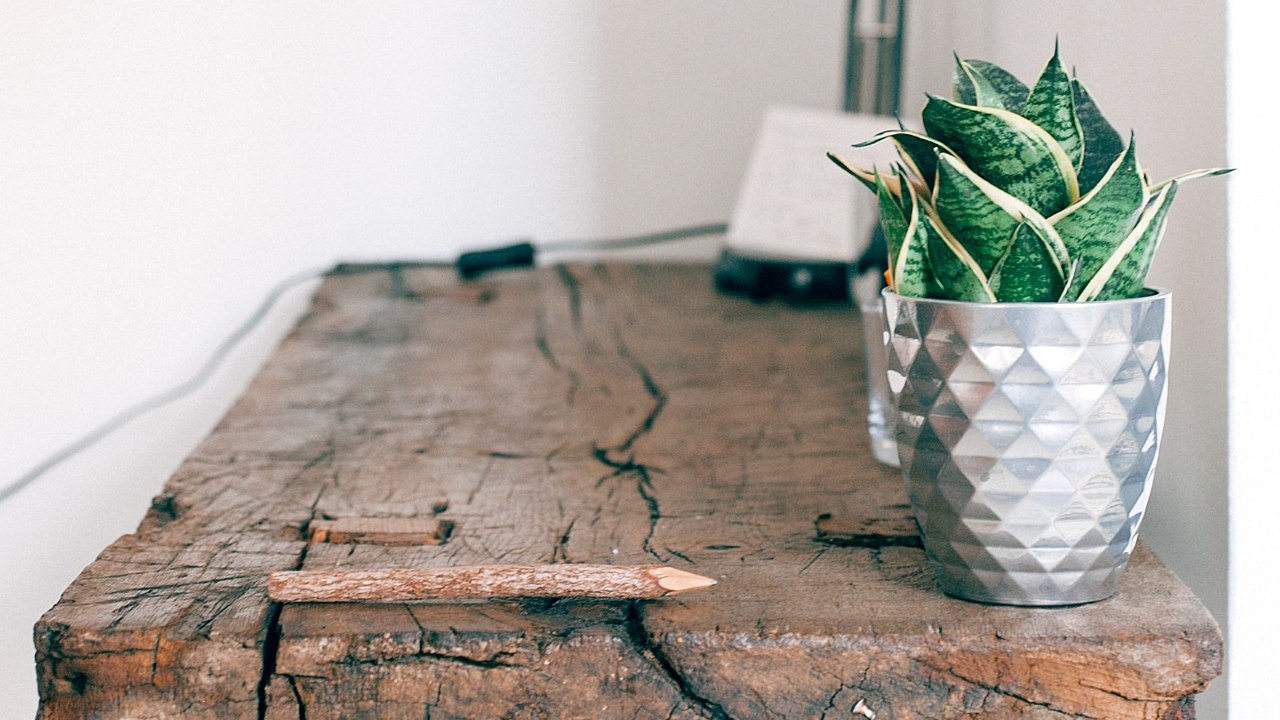 de que tamano deben ser mis macetas