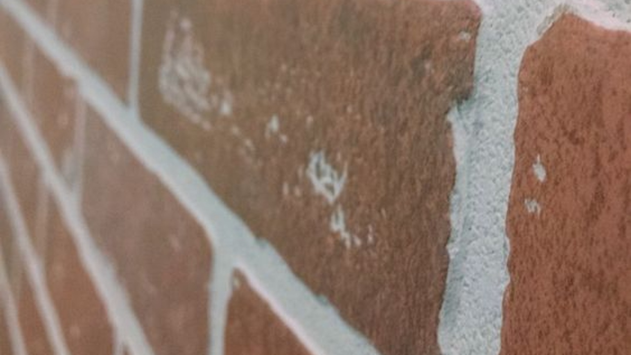 como eliminar moho de ladrillos