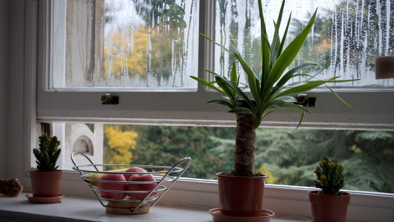 Consejos-para-ventilar-casa-y-evitar-humedad-en-paredes