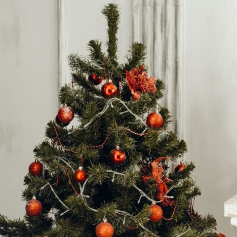 Cuando se pone el arbol de Navidad