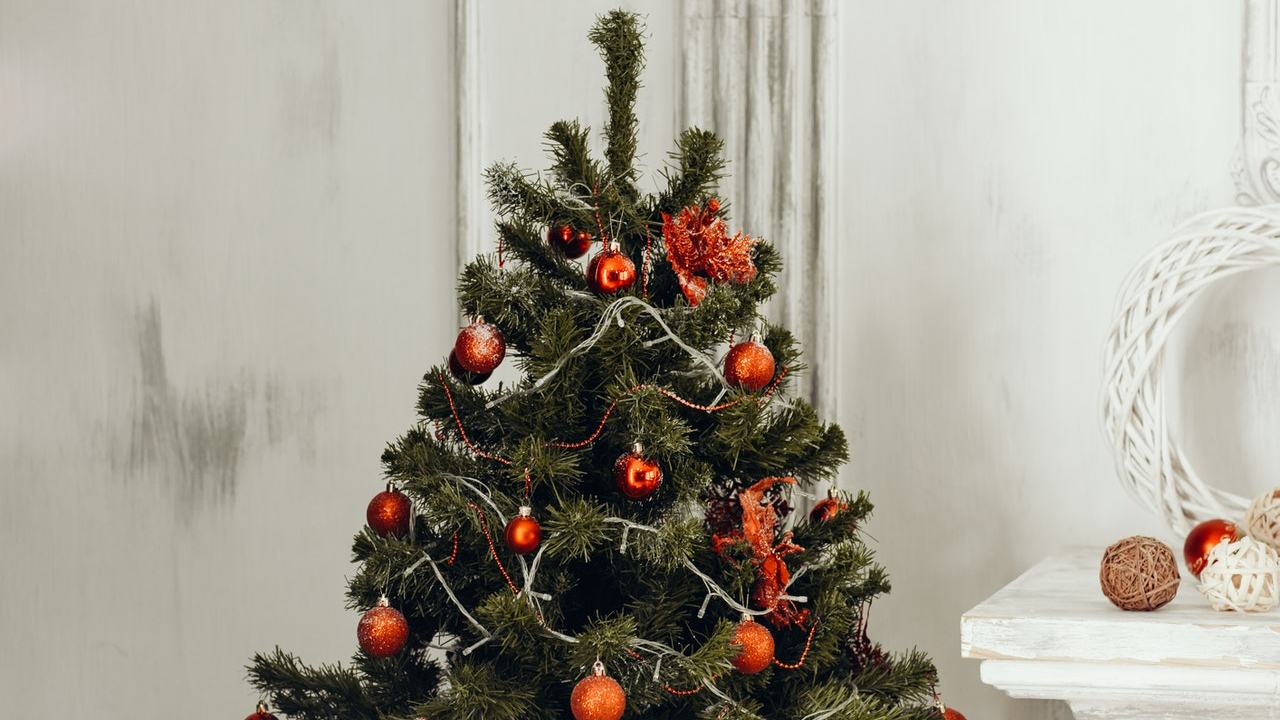 Cuando se pone el arbol de Navidad