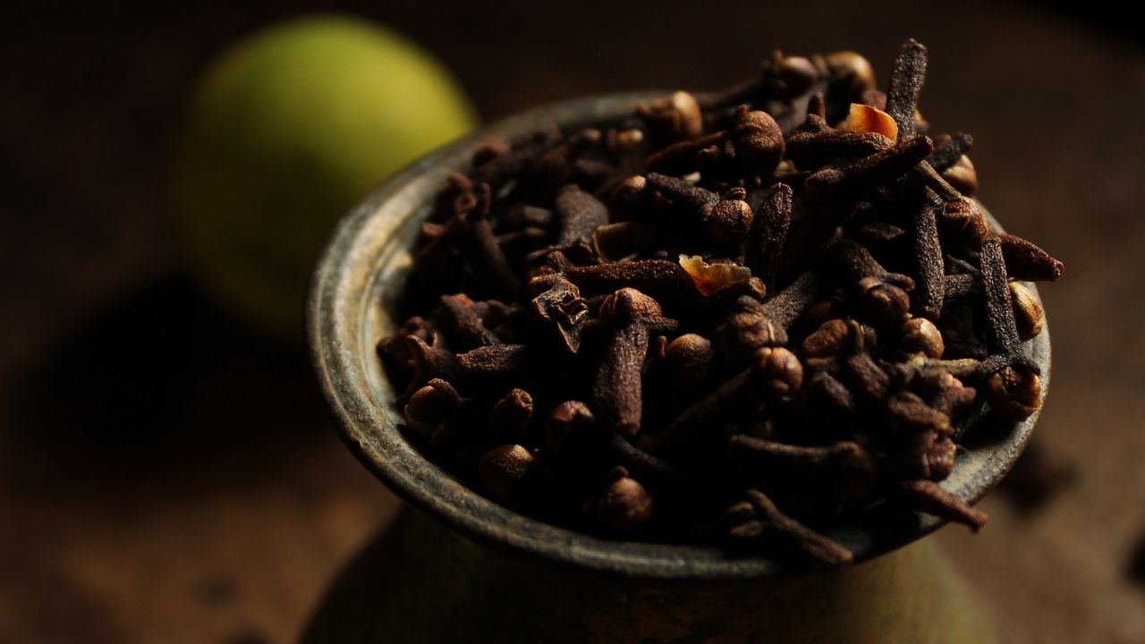 Cultivar-clavo-de-olor-en-maceta 