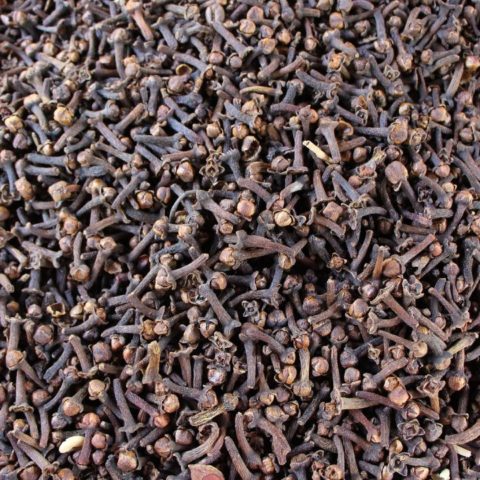 Cultivar-clavo-de-olor-en-maceta