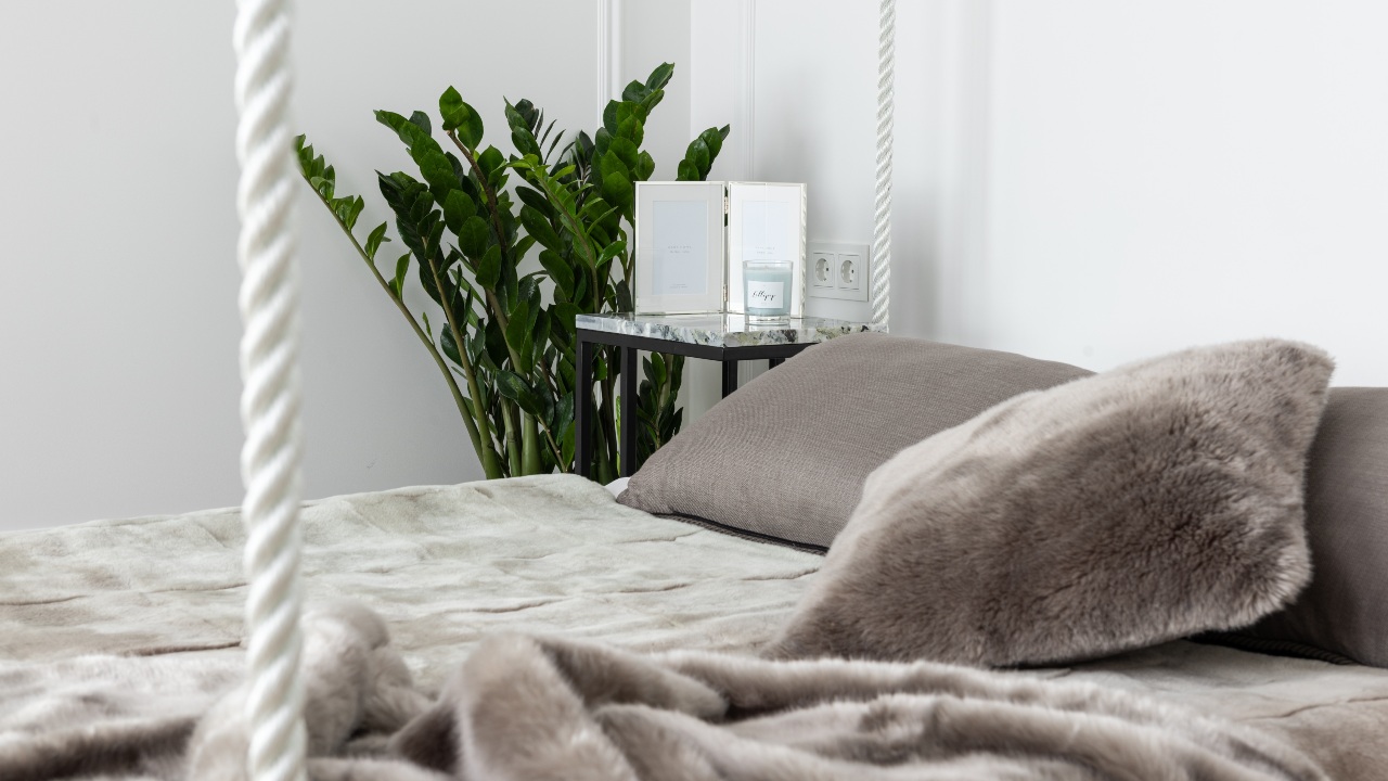 donde colocar plantas en habitacion