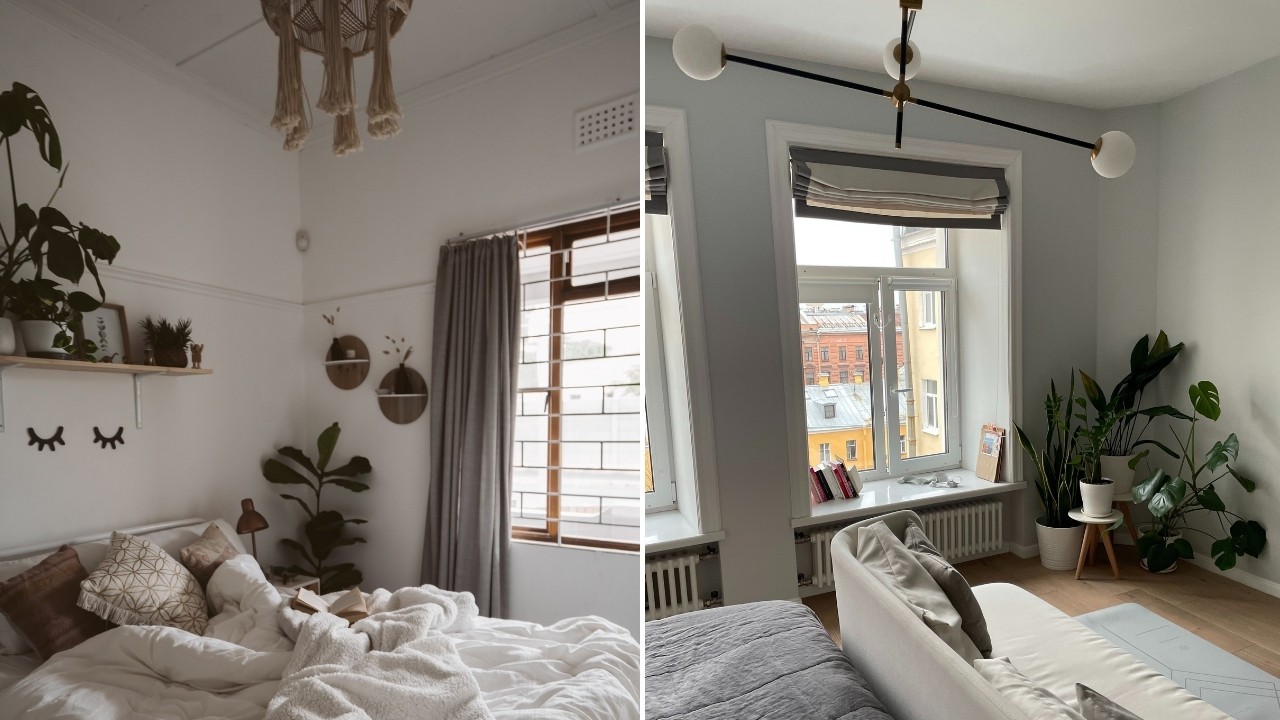 donde colocar plantas en tu habitacion