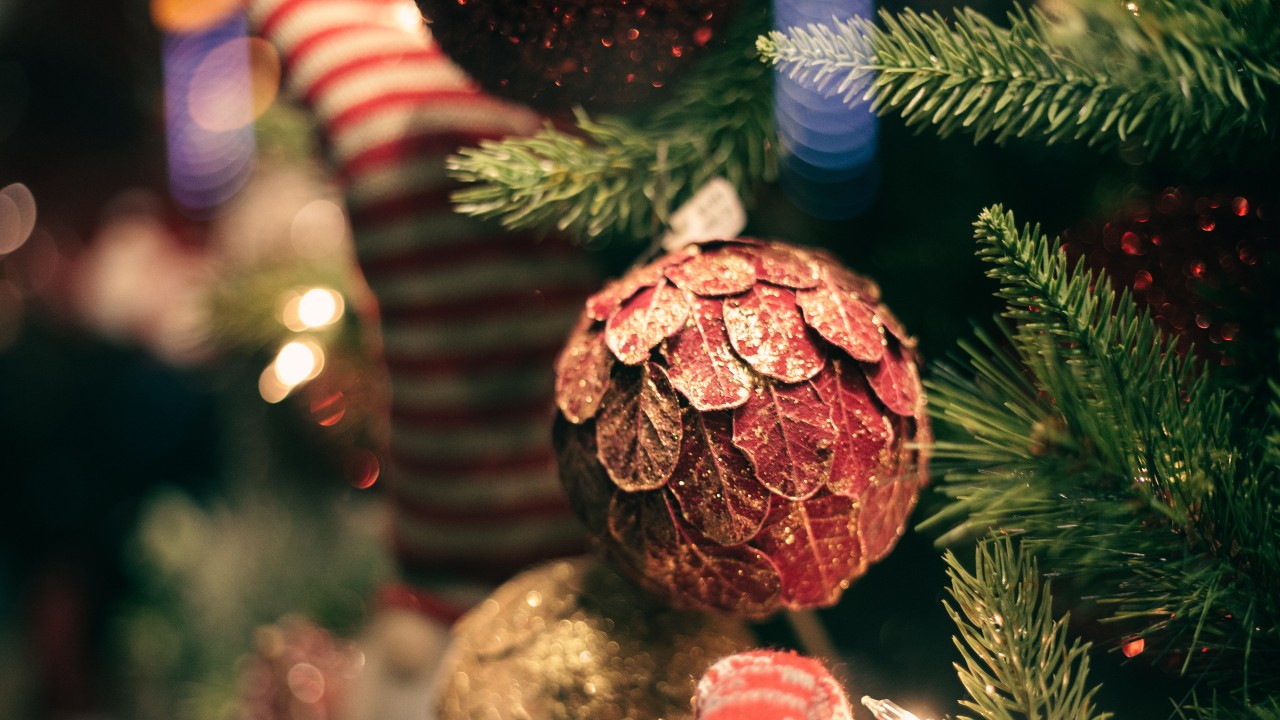 donde rentar arbol de navidad