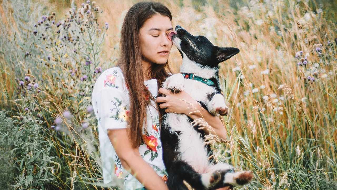 lamida de perro en herida consecuencias