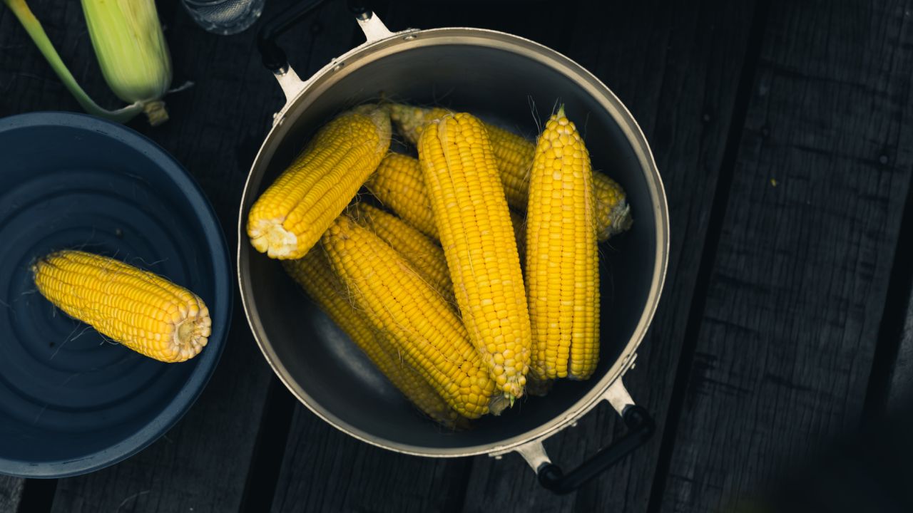 Errores-al-cocer-tus-elotes-que-los-dejan-duros