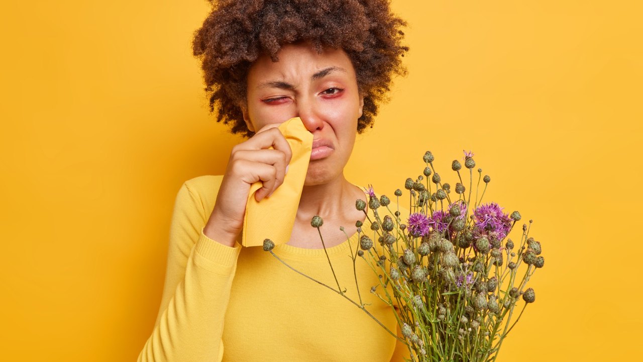 como aliviar los sintomas de la rinitis alergica