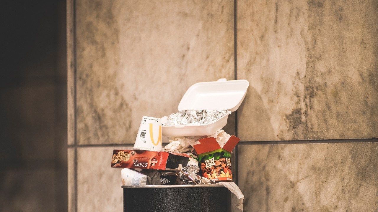 cosas que atraen moscas