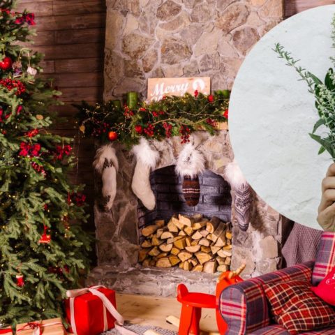 Hierbas-aromaticas-que-huelen-a-Navidad