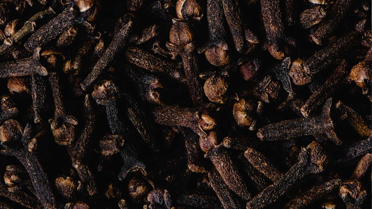 cómo usar los clavos de olor para repeler