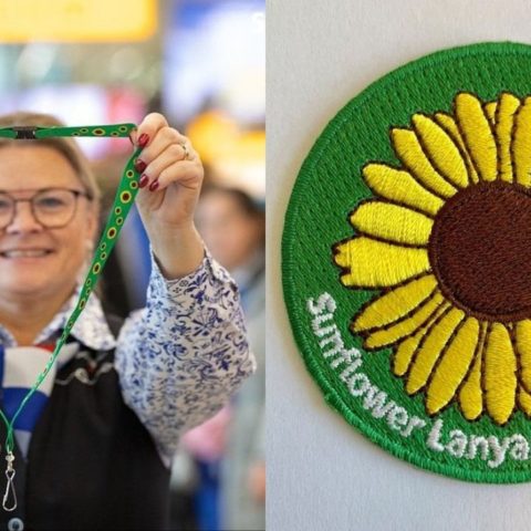 significado de cinta verde con girasoles