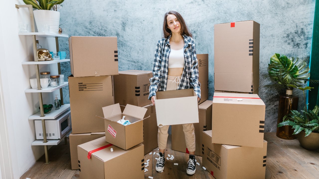 objetos que se llenan de cucarachas