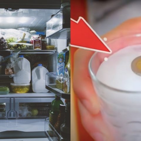 por que debes colocar moneda en refrigerador