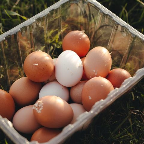 Por que debes tirar los huevos con cascaron sucio