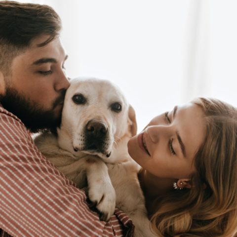 por que tu perro quiere mas a tu novio