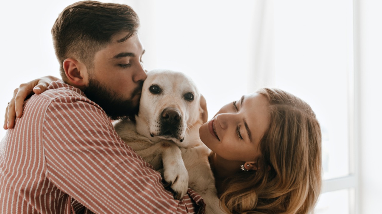 por que tu perro quiere mas a tu novio