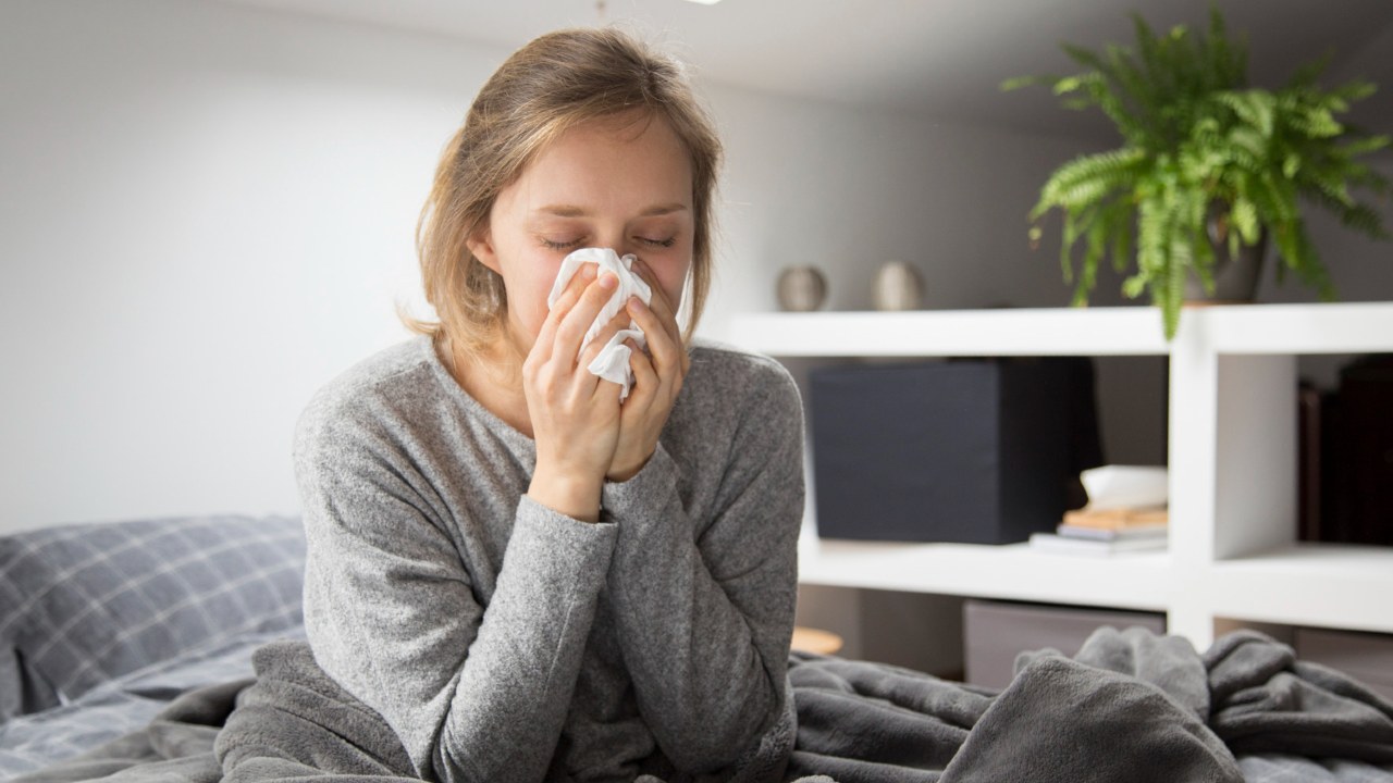 tu cuerpo ha experimentado algún tipo de coronavirus