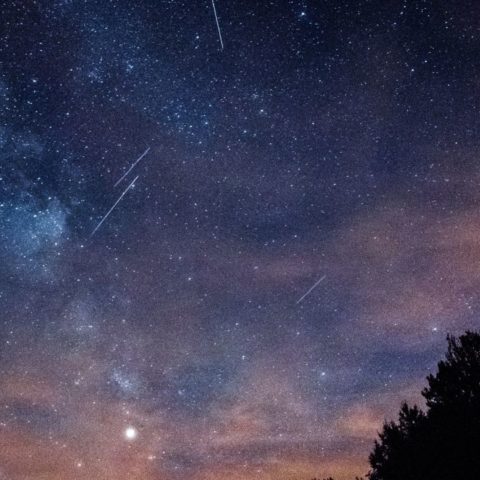 Segunda-lluvia-de-estrellas-noviembre-2021