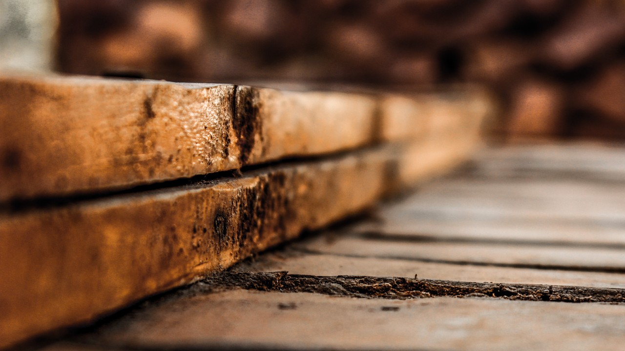 tecnica shou sugi ban