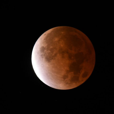Eclipse más largo 19 de noviembre