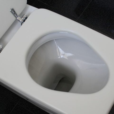 se debe dejar tapa de bano arriba o abajo