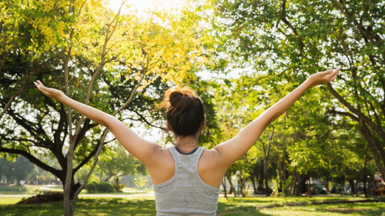Zinc-funciones-en-organismo-en-que-alimentos-encontrarlo