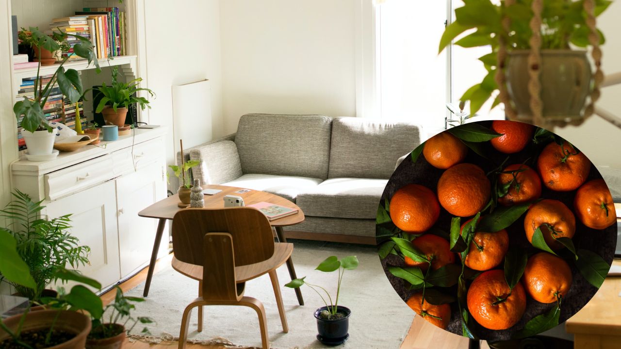 aromatizante de mandarina casero