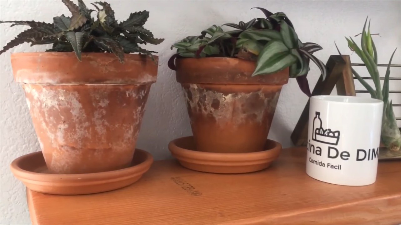como limpiar manchas blancas de cal macetas de barro