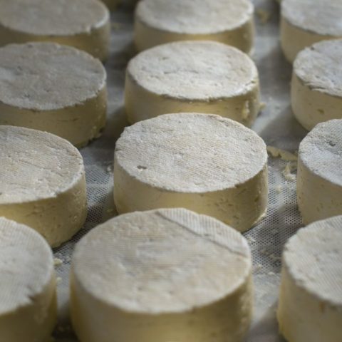 Cosas que distinguen al queso panela del plastiqueso