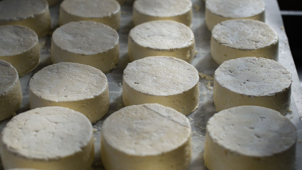 Cosas que distinguen al queso panela del plastiqueso