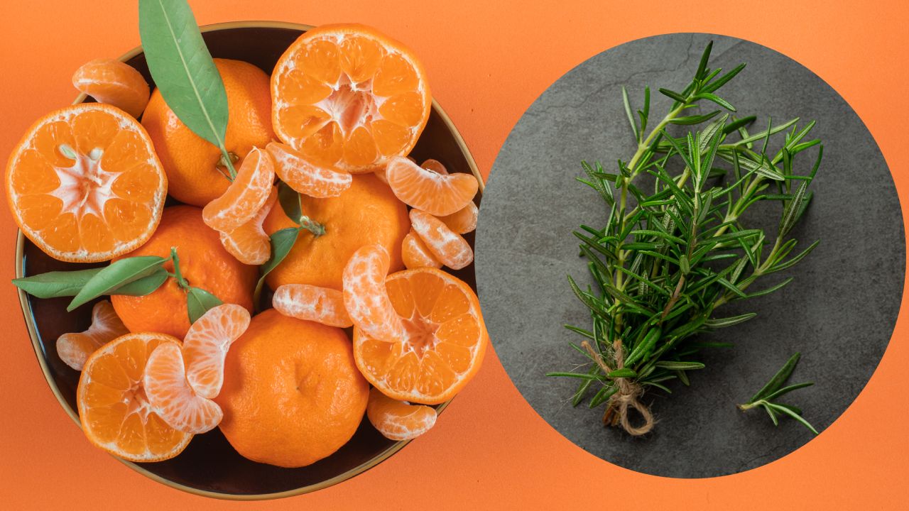 Desinfectante casero de mandarina con romero