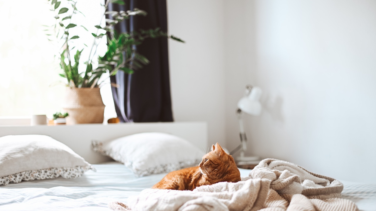 que es metodo kaizen