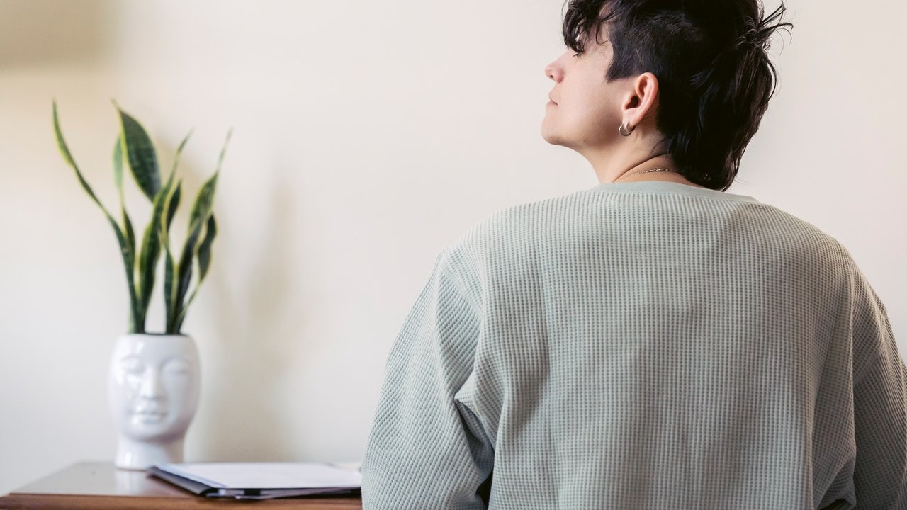 Sansevieria atrae el dinero