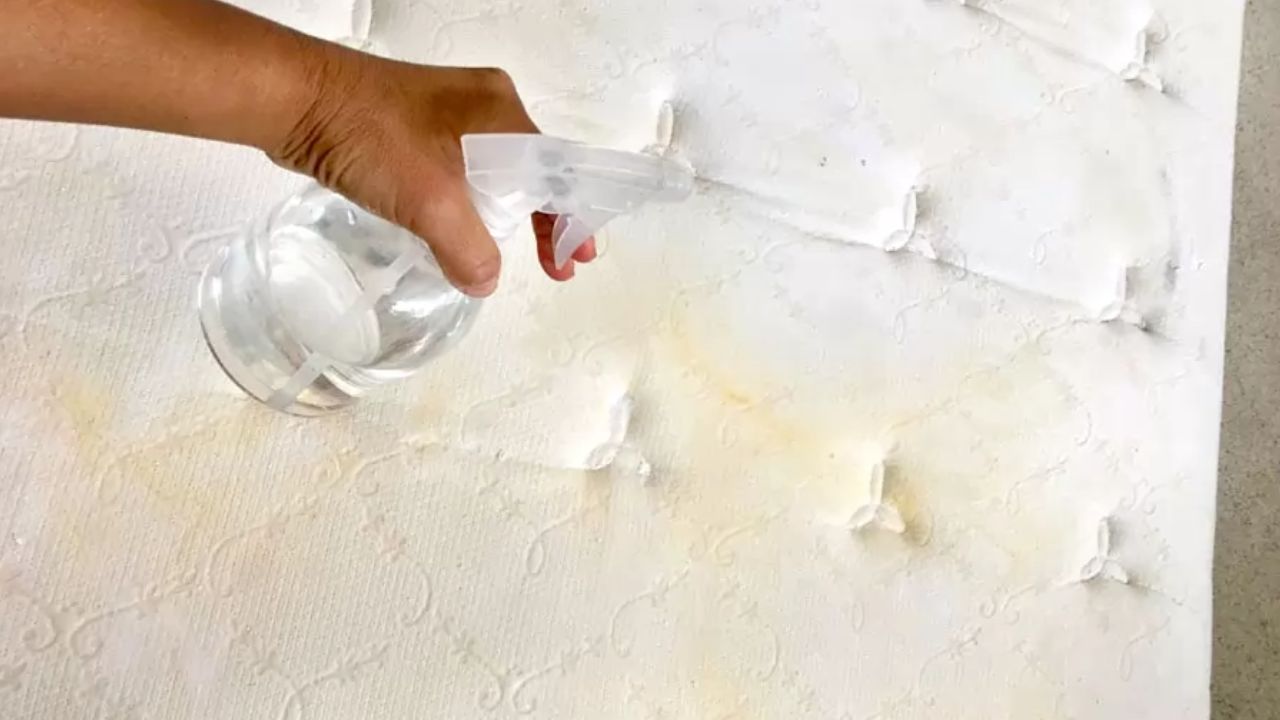 Limpiador para manchas en el colchón y sillones