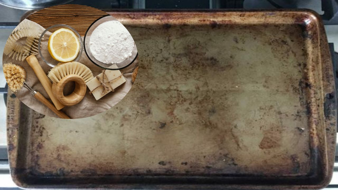 Limpiar bandeja de horno