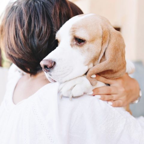 método Tellington Ttouch para perros