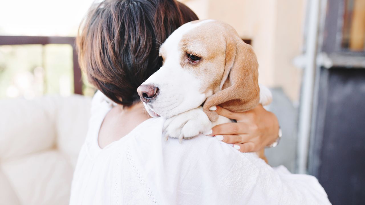método Tellington Ttouch para perros